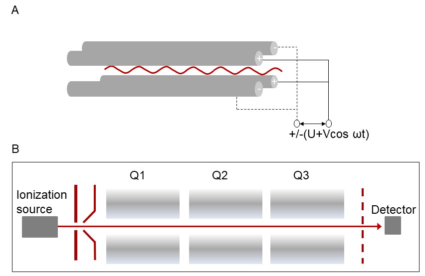 TSQ Quantum Access MAX Triple Quadrupole Mass Spectrometer